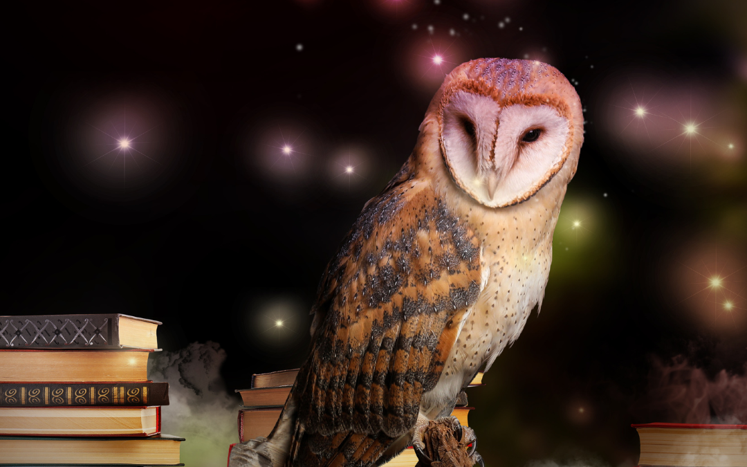 Empowering Legal Practices: The Story of Wise Owl Legal Software